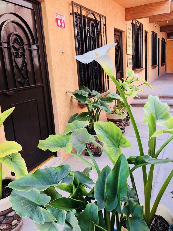 Hotel Posada San Jorge Bernal Exterior photo
